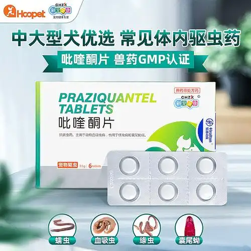 吡喹酮片让狗狗远离体内寄生虫困扰