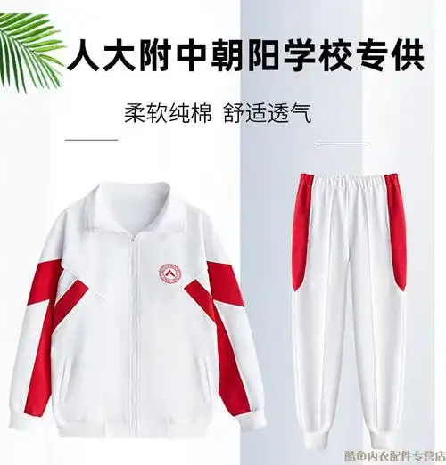 北京人大附中朝阳学校校服春秋外套春季长袖t恤夏季短袖t恤棉春秋款