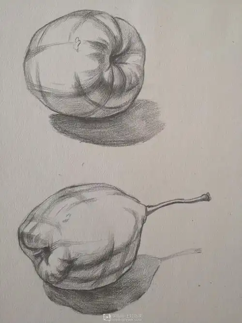水果临摹素描静物绘制训练