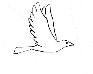 小鸟gif翅膀gif飞行gif白鸽gif