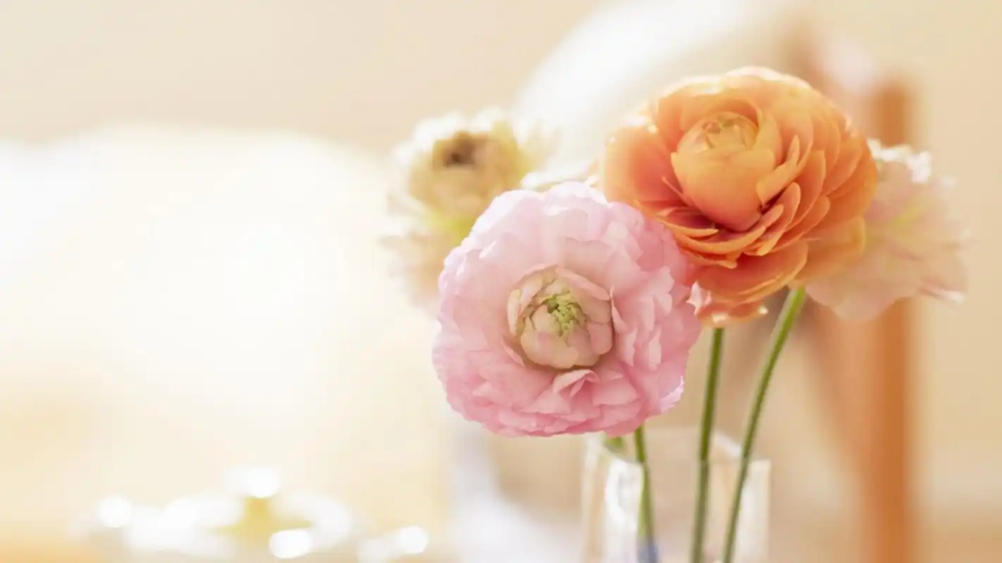 温馨家居静物唯美桌面壁纸