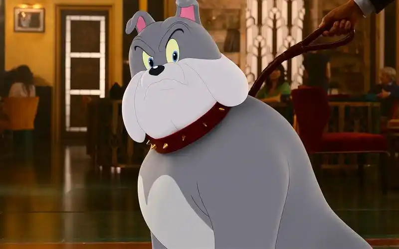 《猫和老鼠》中的斯派克疯起来,可以把一座楼给拆了_哔哩哔哩 (゜-゜)