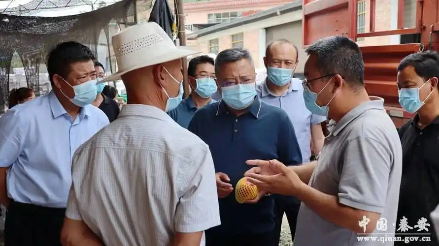 7月21日,秦安县委书记周济到西川镇和王窑镇,郭嘉镇调研蜜桃和花椒