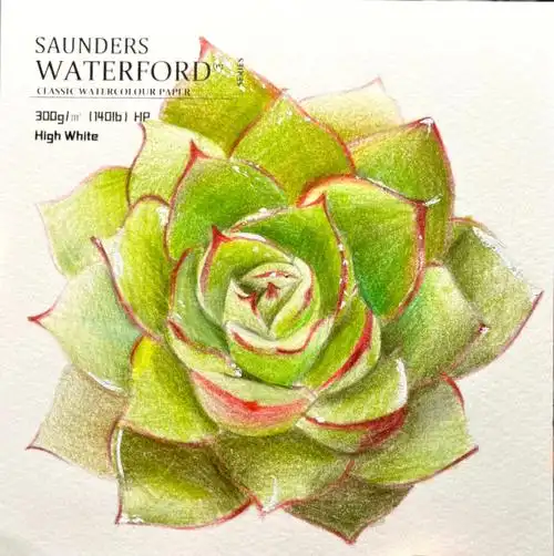 彩铅多肉植物步骤图