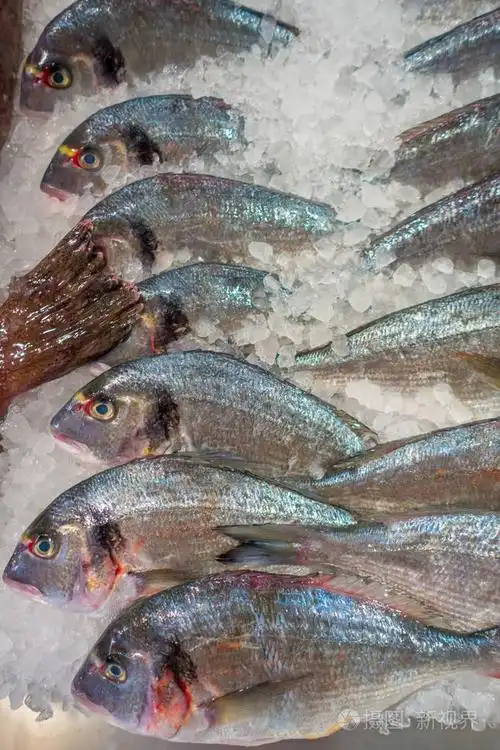 新鲜鱼在一堆冰,在端口 d andratx 在马略卡岛,西班牙港