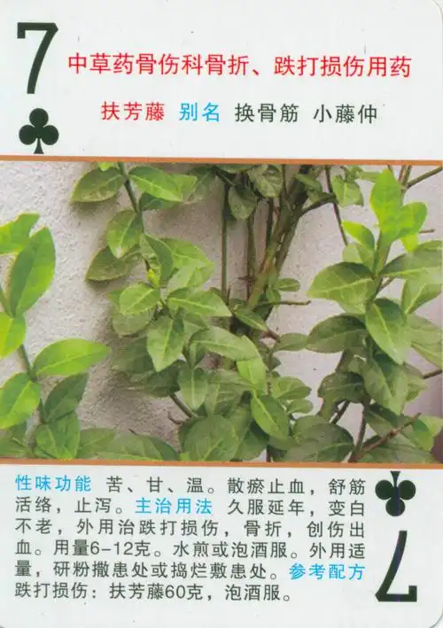 【转载】中草药--骨伤科用药