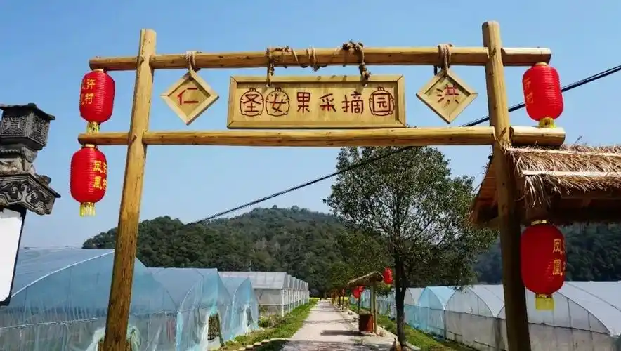 仁洪圣女果又双叒叕熟了第二波强势袭来