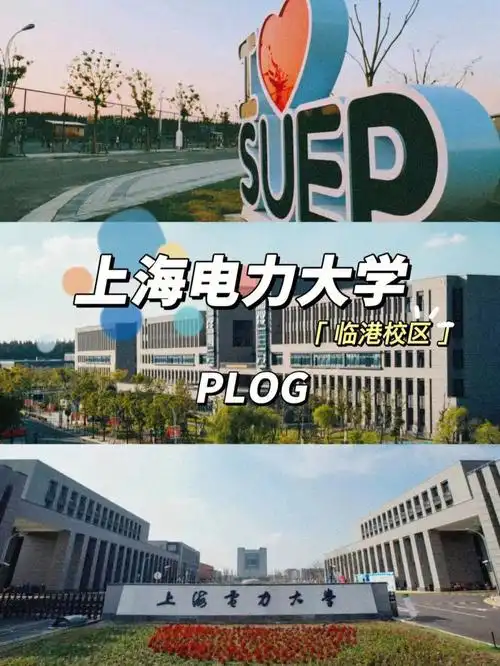 爱了爱了上海电力大学也太piu亮了吧78