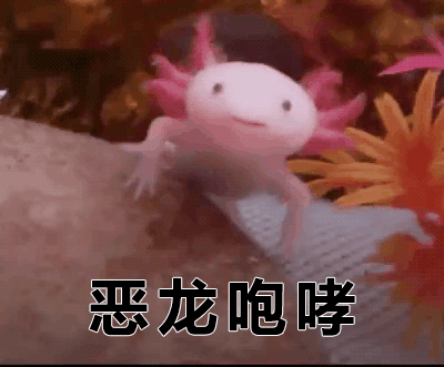 400_331gif 动态图 动图