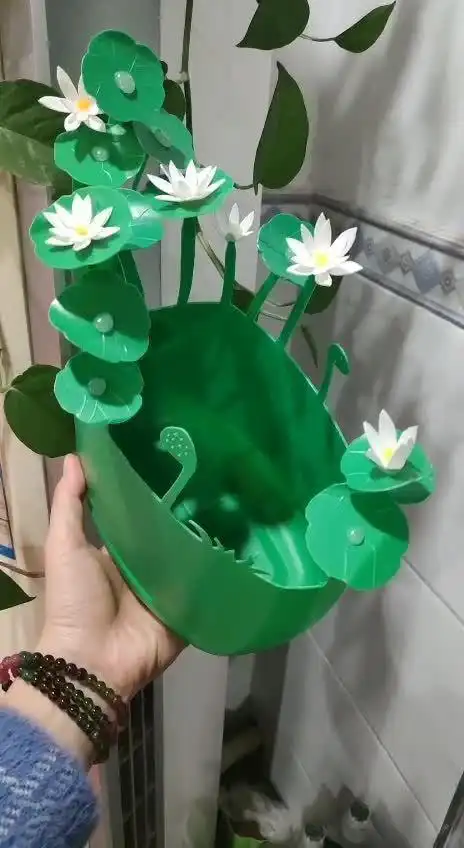 洗衣液瓶子自制花盆,适合种植多肉铜钱草