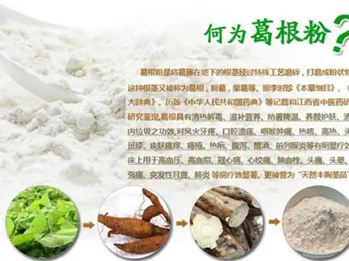 山葛根粉的功效与作用及食用方法如何降低心肌氧耗量