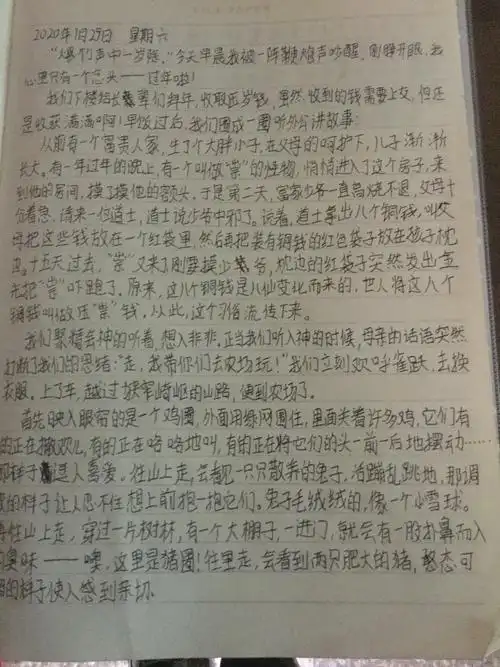 班主任 作业周记(一篇)