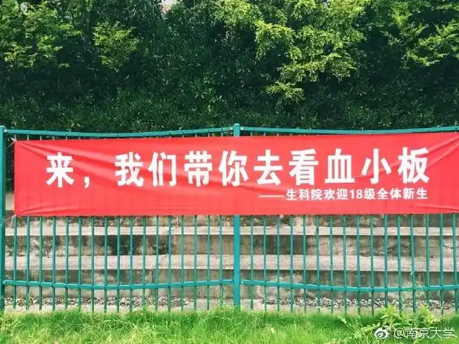 能写出这样横幅的学长学姐,毕业写文案月薪5万!