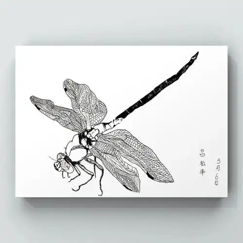 线描蜻蜓9岁学员作品