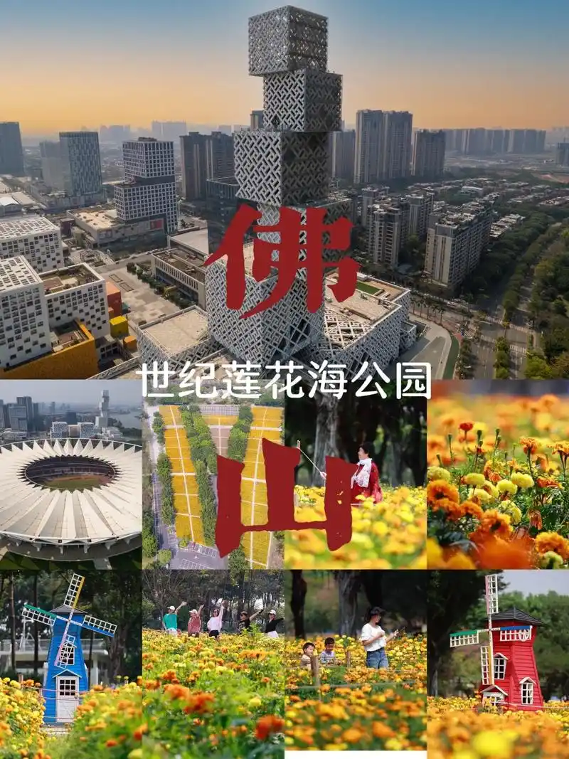 缘来是你,佛山的花海.地点:世纪莲体育中心 花海公园这里阳 - 抖音