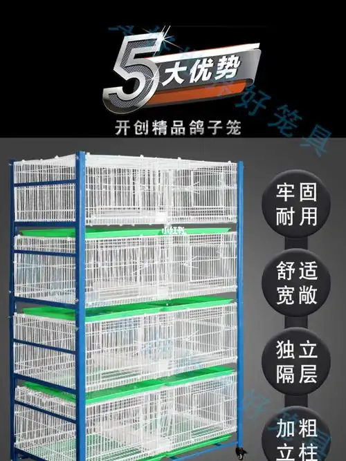 鸽子4层配对笼,这一款是信鸽夜用的最广泛的配对笼.