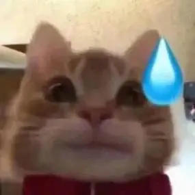 猫咪无语表情包无语猫咪表情