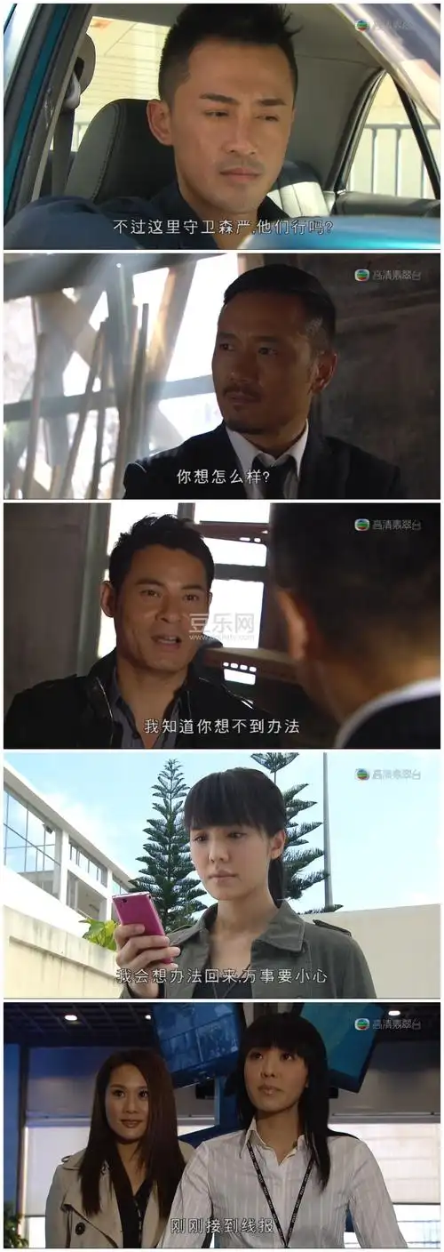 [tvb][2012][雷霆扫毒][苗侨伟/林峯][高清国/粤双语][内置vobsub字幕