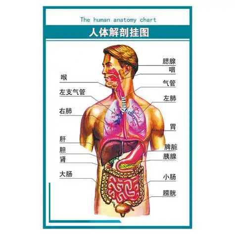 总是能遇到贵人 哪位贵人能告诉我,我都快三十岁