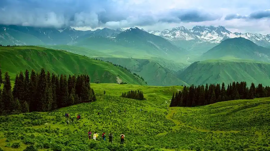 百里画廊唐布拉