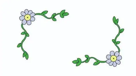 装饰花边图案简笔画简单彩色边框