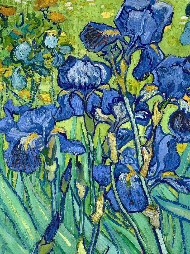 再一次认识天才色彩大师—梵高 文森特·梵高——鸢尾花 	 梵高是色彩