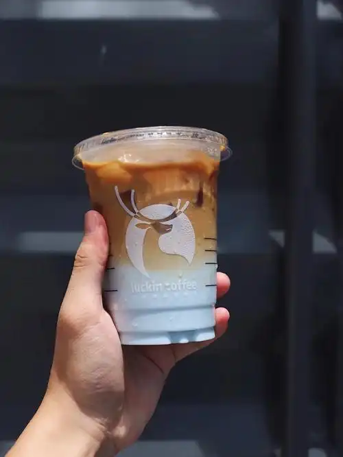 新晋颜值天花板——瓦尔登蓝椰拿铁