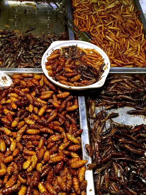 【石一旅行】云南十日游(6):昆明 大理 丽江 香格里拉,七彩云南,你太