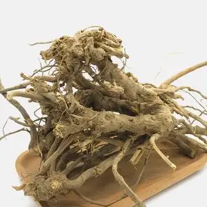 野生毛将军中药材过饥草福建闽南兔子耳过枝草土丁桂白头翁山白芷