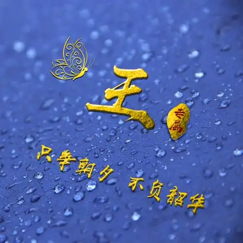 编号b02932张百家姓微信头像励志专属只争朝夕不负韶华