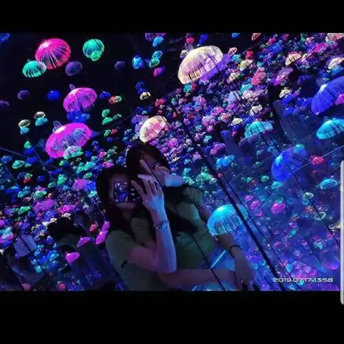 需购2022夏商场12星座天幕彩灯led天幕灯幕墙灯饰画2022街区亮化造型