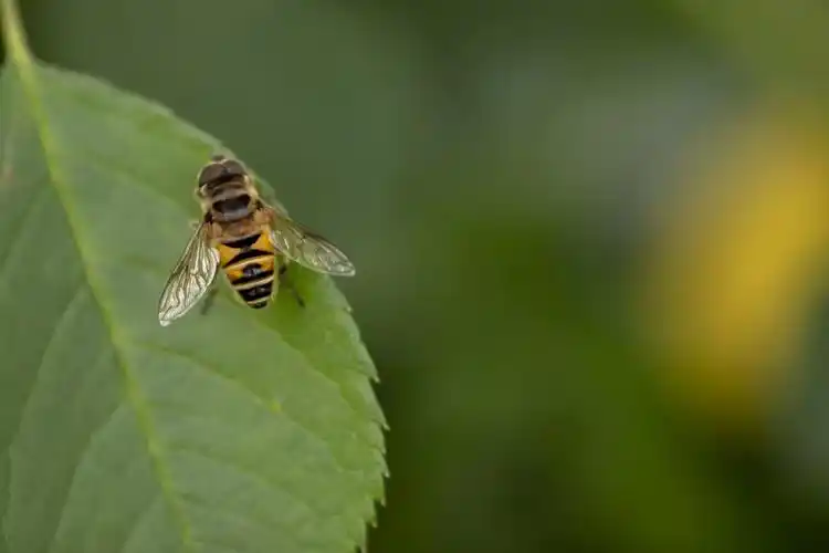 有生命力的照片