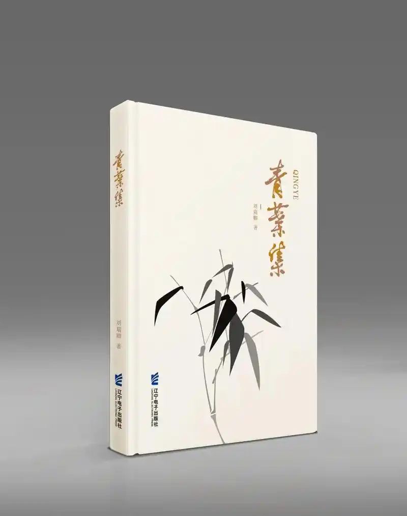 吉祥设计作品《青叶集》书籍装帧设计展示.