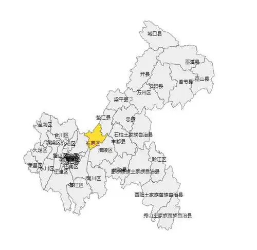 通过图获得重庆的地图json数据,命名为 chongqing.json 通过展示如图