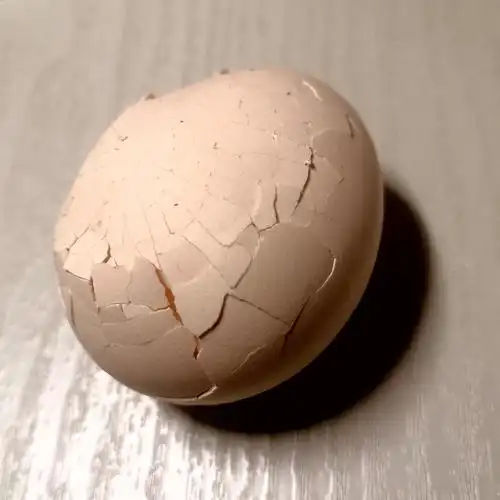 吃早餐时不小心把鸡蛋掉地上了,碎了的鸡蛋壳感觉意外的好看呢