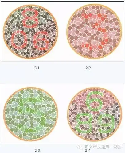 体检表填写注意事项学员请核对体检表上的个人信息是否正确(包括姓名