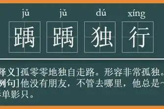 踽踽独行怎么读拼音_百度视频搜索