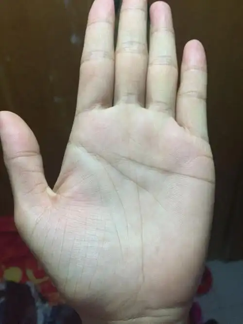 求大神看一下手掌,(左右)