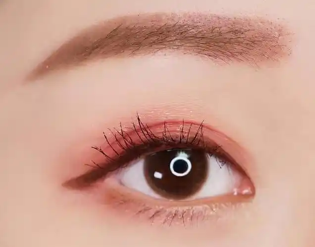 杏眼怎么画眼妆,杏仁眼眼妆怎么画好看(学会这几种眼影画法)