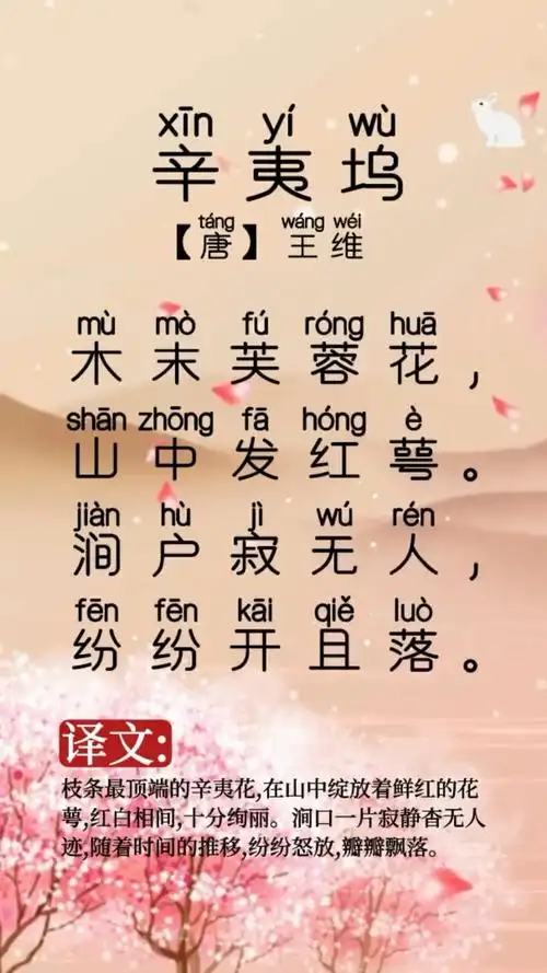 《辛夷坞》古诗