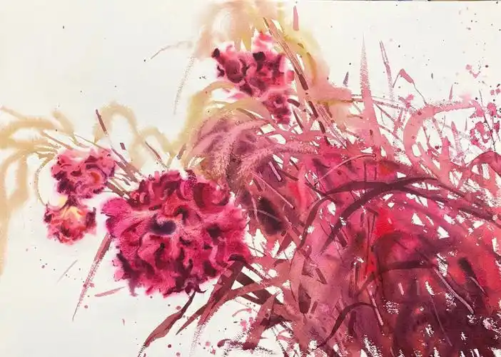 水彩花卉系列鸡冠花之舞