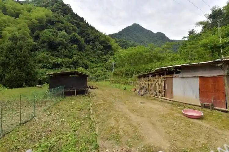 周自德的天然养鸡场.