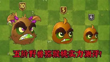 五阶野兽猕猴桃到底有多好用!