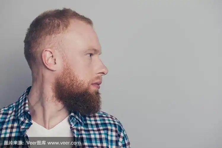 特写人物侧视图肖像的好冷静集中英俊的家伙穿着格子衬衫拷贝空白的