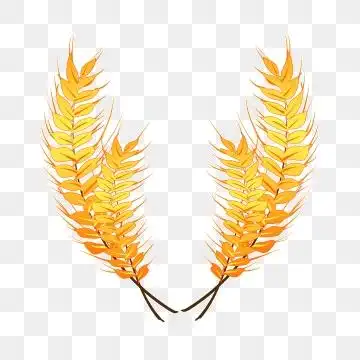 卡通麦穗 png图片素材和向量图案