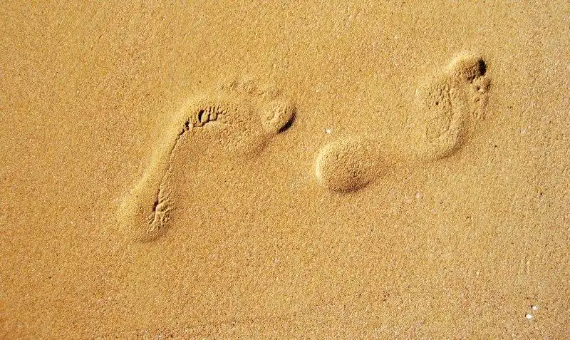 足迹 摄影 飞鸟