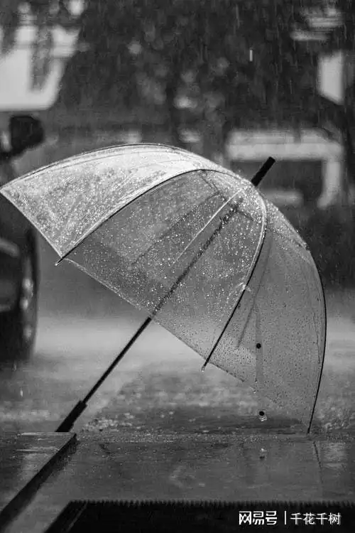 人生风雨防不胜防