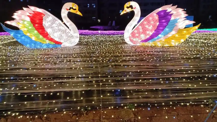 寮步国态生态园,国庆网红景点,满天星辰只为了你的回眸一笑   - 抖音