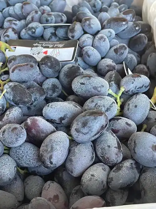 澳洲黑提超甜蜜之选3斤一份最是新鲜黑珍珠般的黑提颗颗晶莹剔透甜度