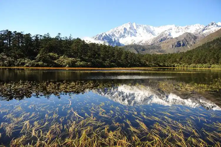 海螺沟景区管理局关于519中国旅游日门票优惠政策的通告